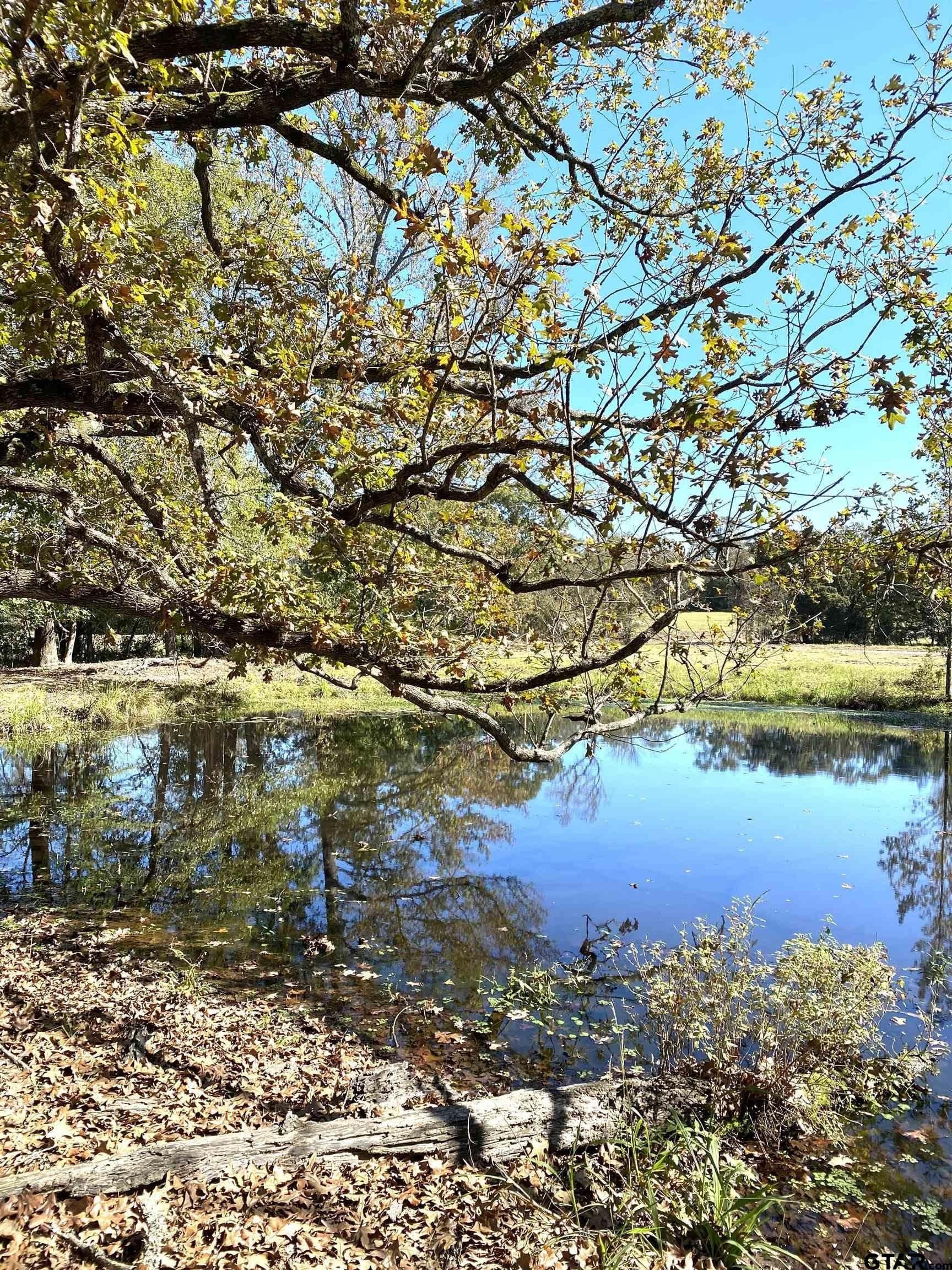 5.48 acres in Henderson County - photo 2