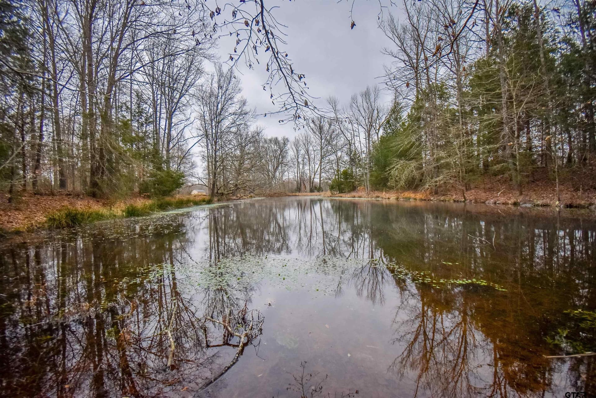 5.48 acres in Henderson County - photo 10