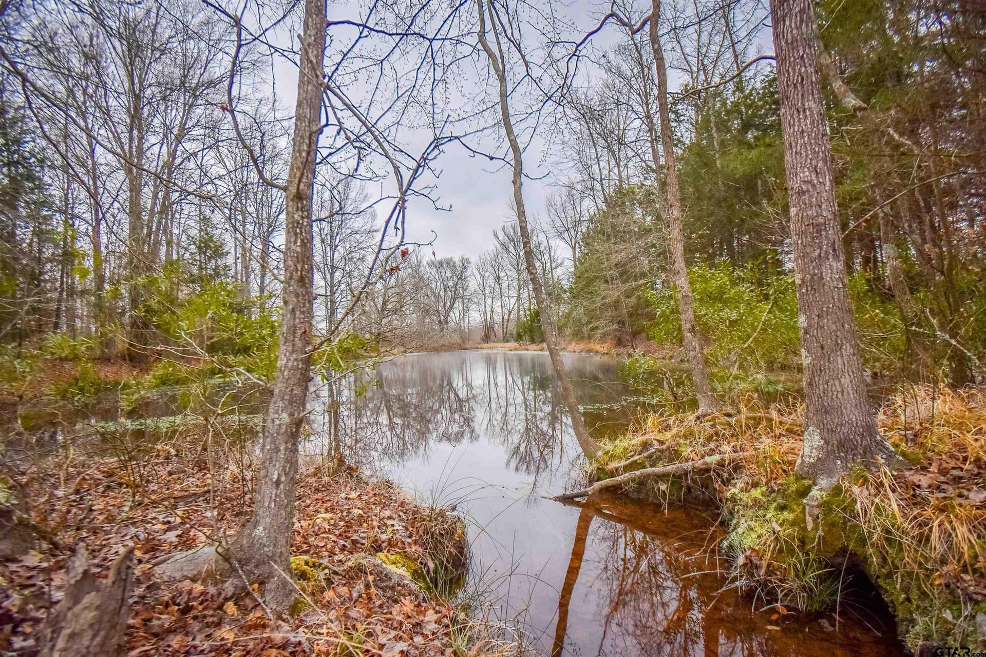 5.48 acres in Henderson County - photo 9