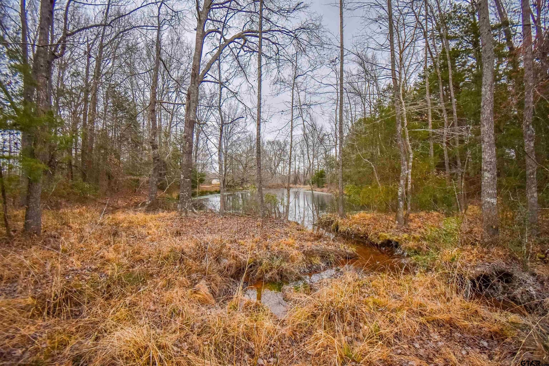5.48 acres in Henderson County - photo 8