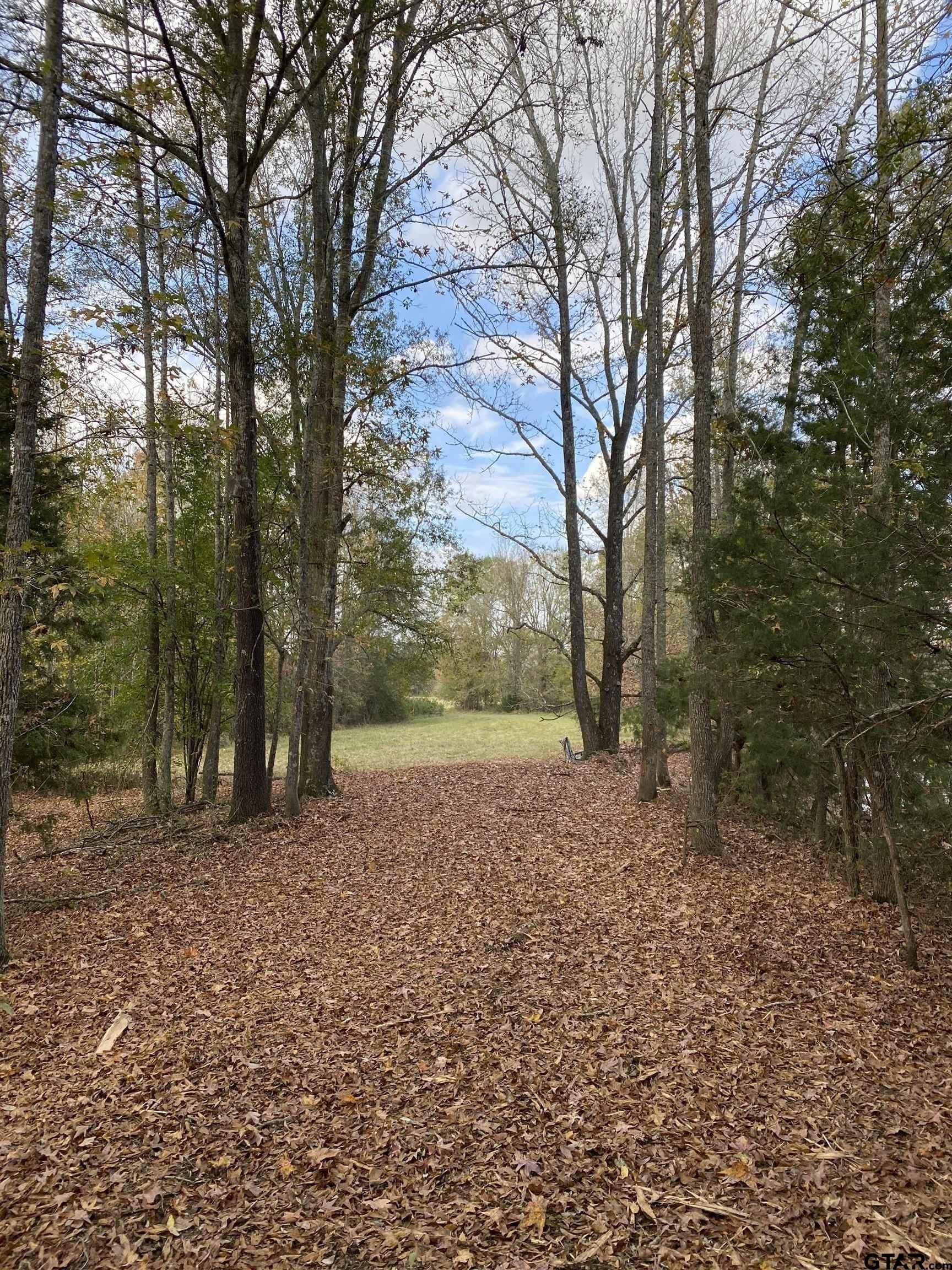 5.48 acres in Henderson County - photo 3