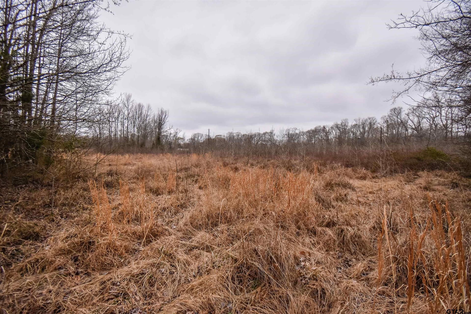 5.48 acres in Henderson County - photo 11