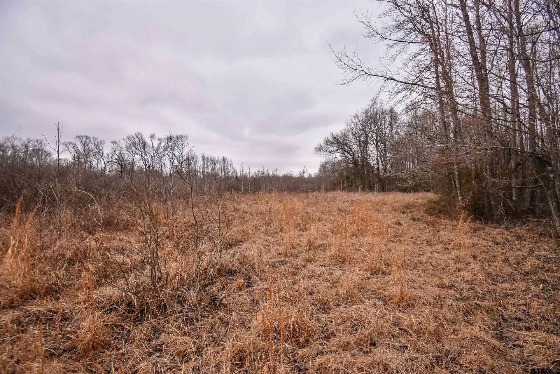 5.48 acres in Henderson County - photo 12