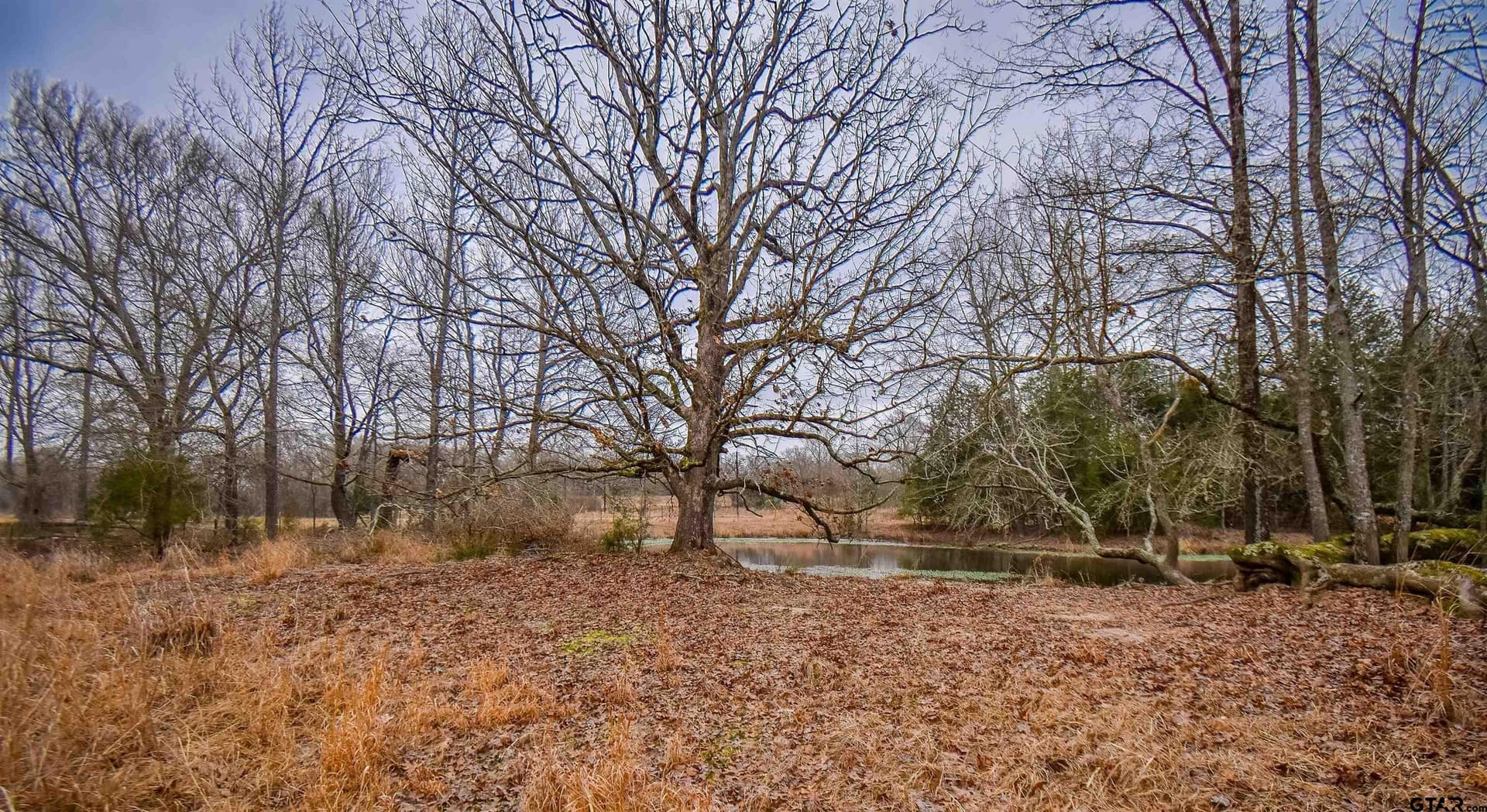 5.48 acres in Henderson County - photo 13