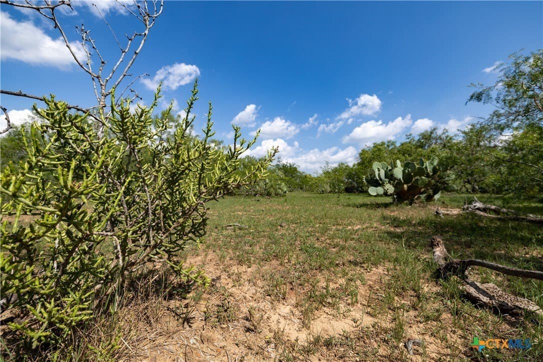 18.58 acres in Caldwell County - photo 13