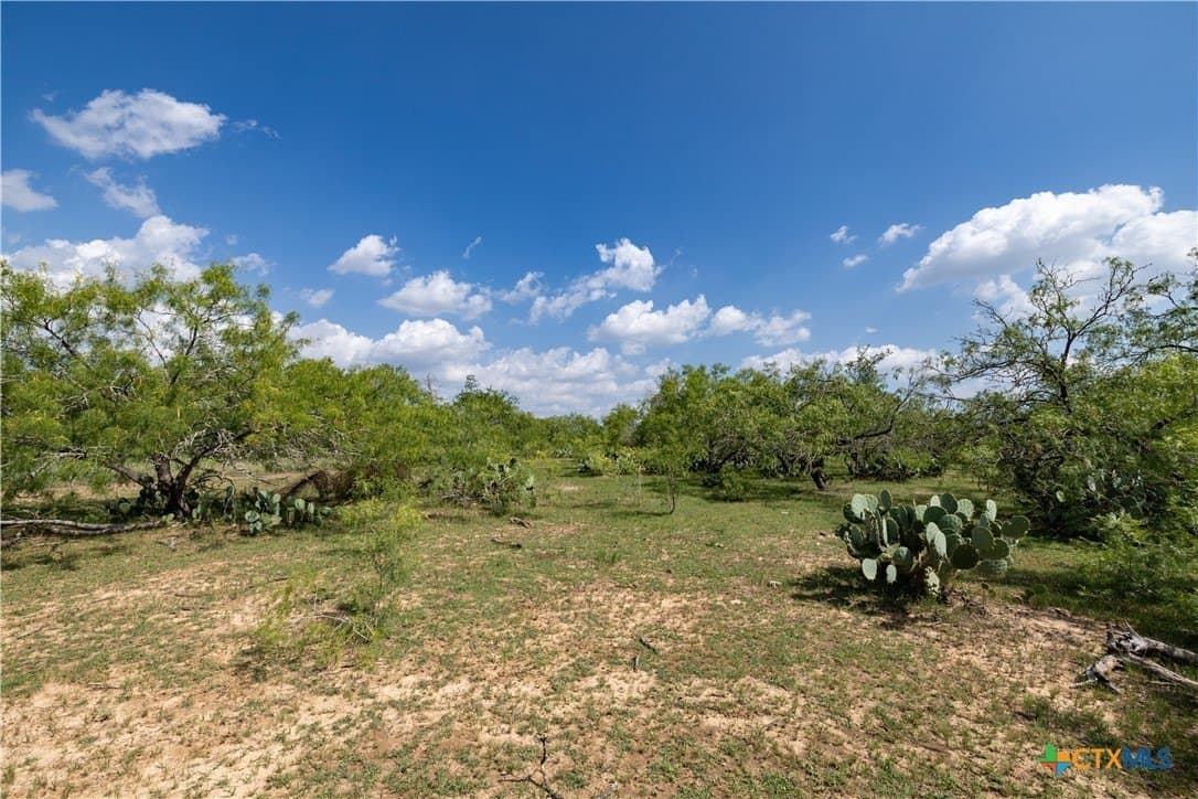 18.58 acres in Caldwell County - photo 12