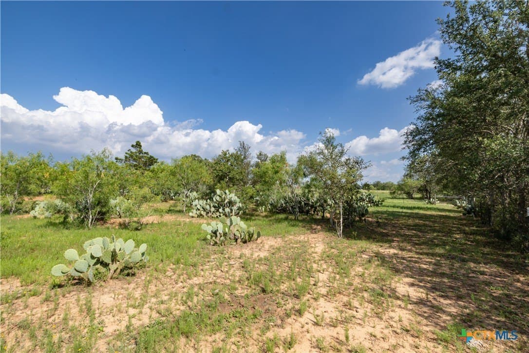 18.58 acres in Caldwell County - photo 17