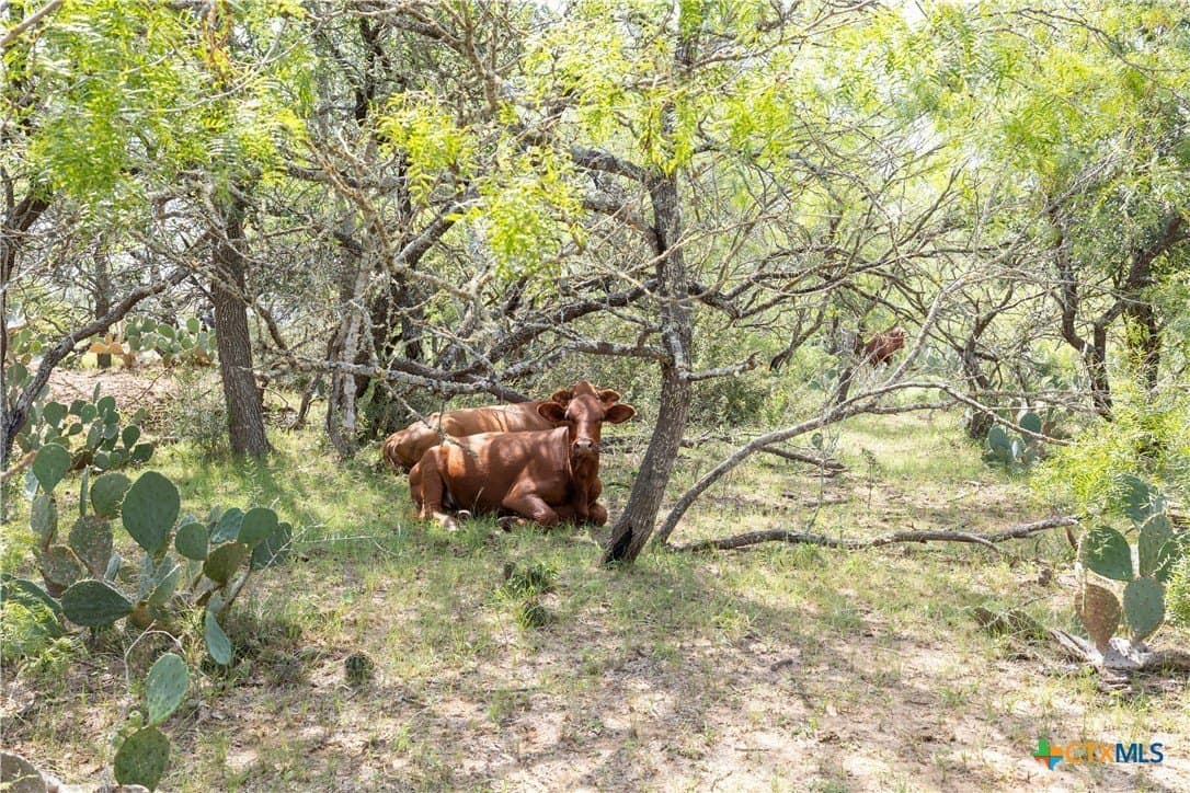 18.58 acres in Caldwell County - photo 3
