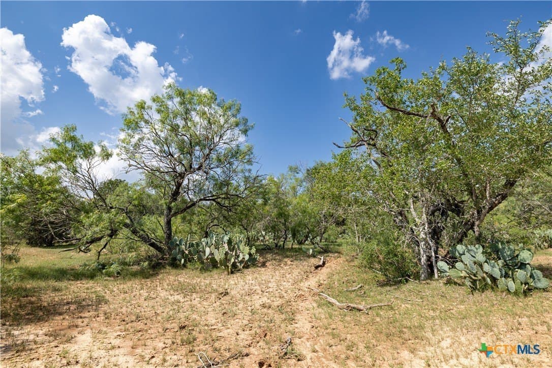 18.58 acres in Caldwell County - photo 16