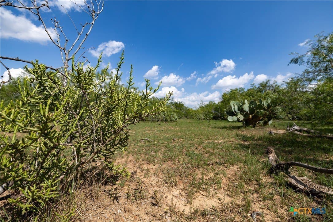 18.58 acres in Caldwell County - photo 7