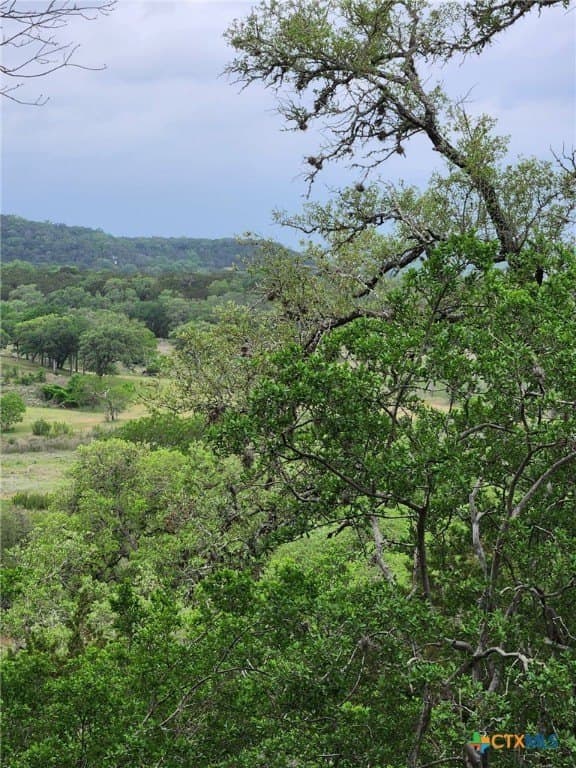1.31 acres in Comal County - photo 8