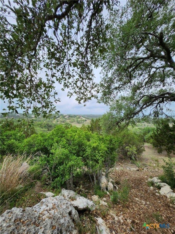 1.31 acres in Comal County - photo 16