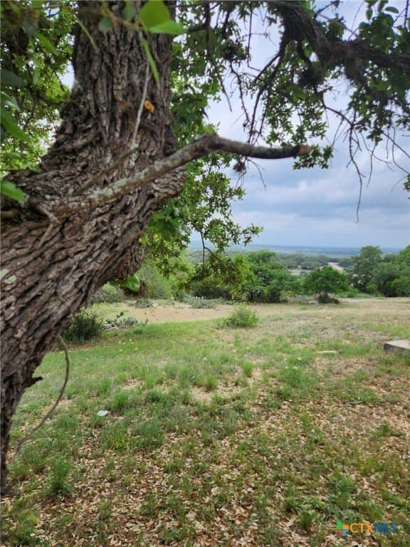 1.31 acres in Comal County - photo 17
