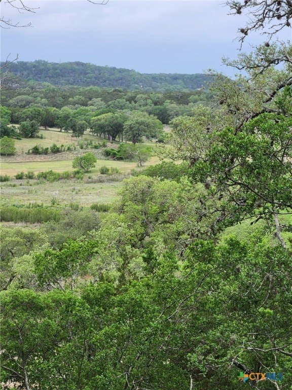 1.31 acres in Comal County - photo 3