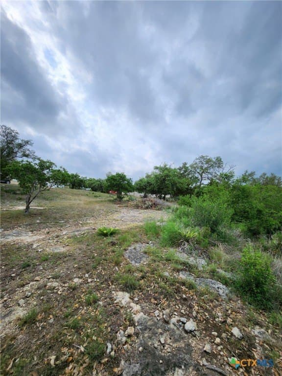 1.31 acres in Comal County - photo 13