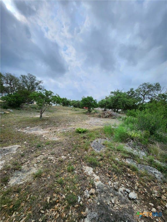 1.31 acres in Comal County - photo 15