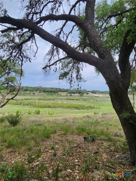 1.31 acres in Comal County - photo 4