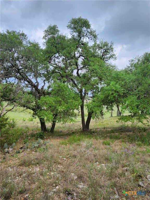 1.31 acres in Comal County - photo 5