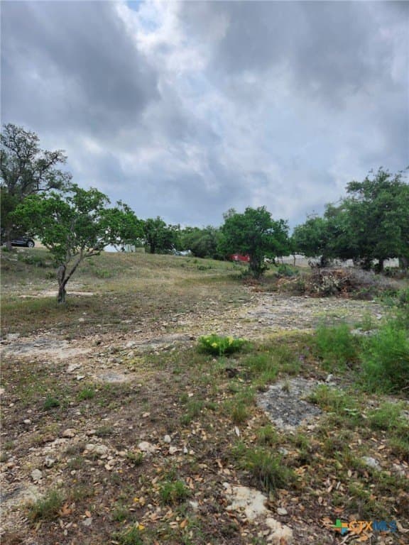 1.31 acres in Comal County - photo 14