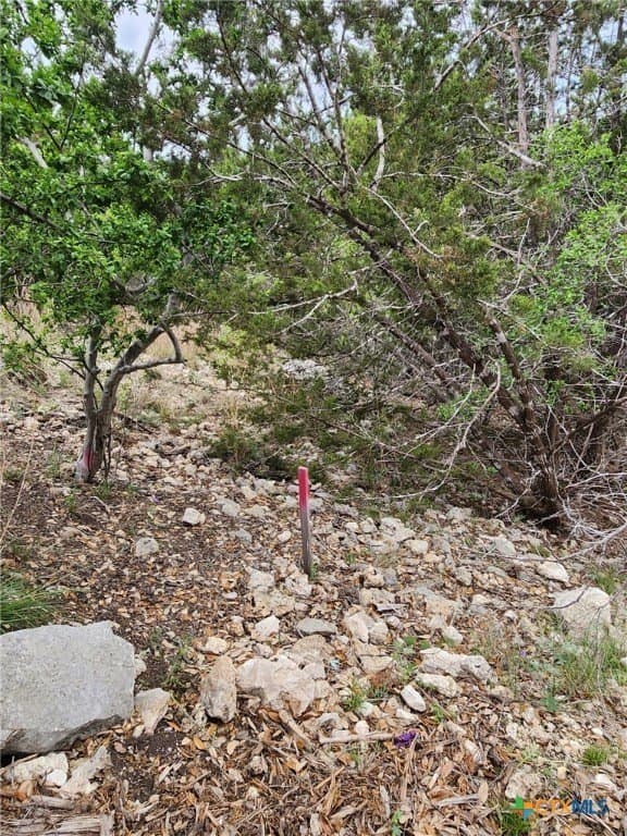 1.31 acres in Comal County - photo 6