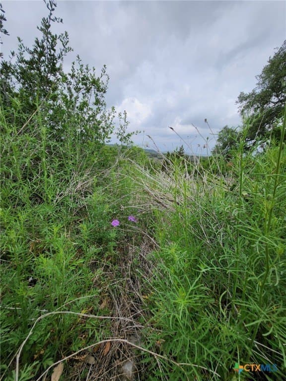 1.31 acres in Comal County - photo 9