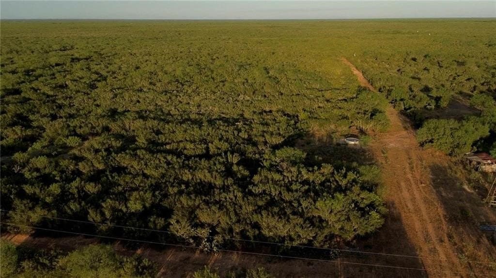 102.45 acres in Duval County - photo 3