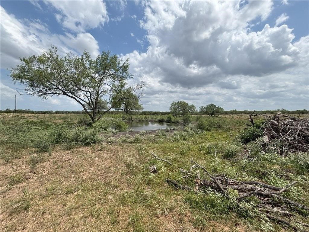 102.45 acres in Duval County - photo 14
