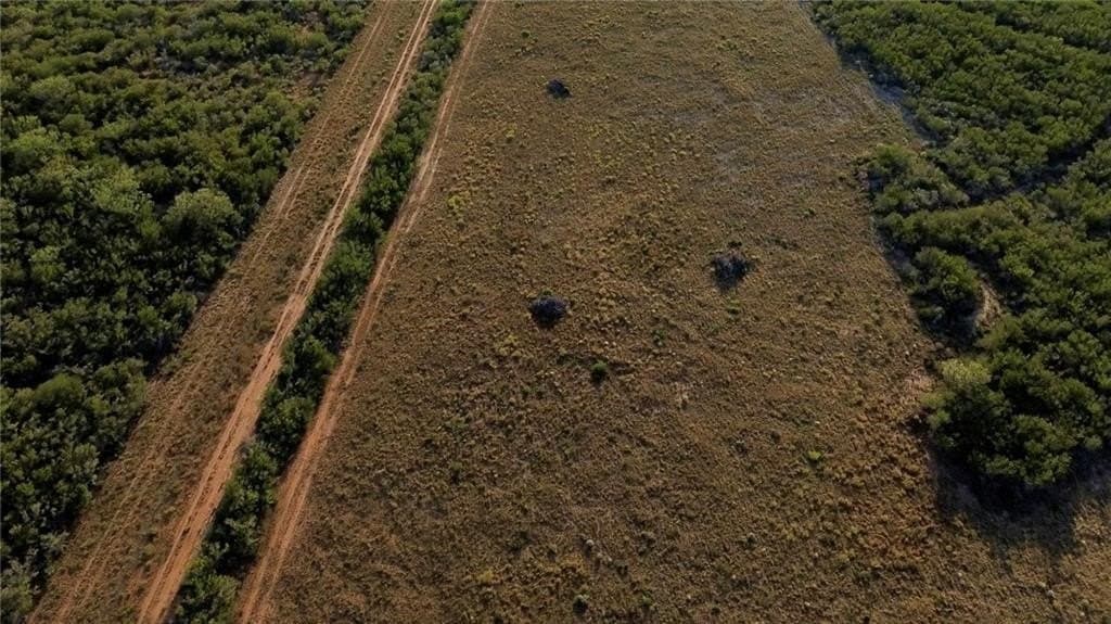 102.45 acres in Duval County - photo 8