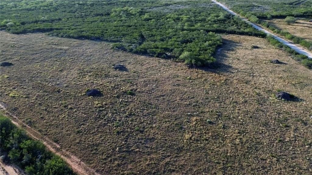 102.45 acres in Duval County - photo 2