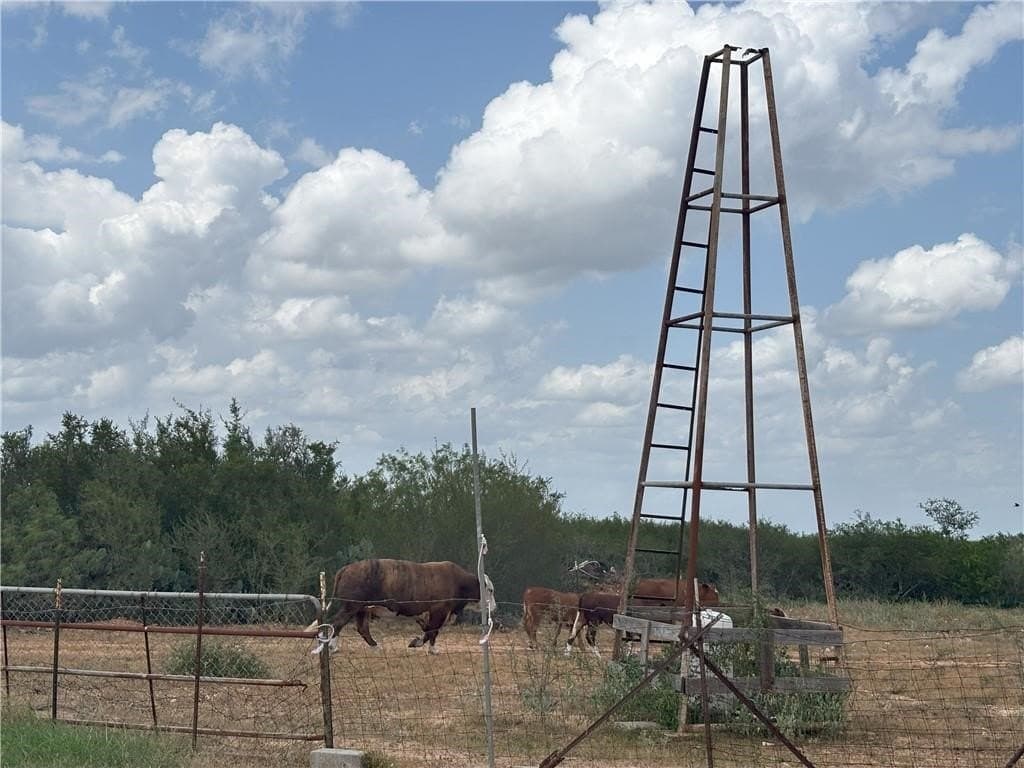 102.45 acres in Duval County - photo 10