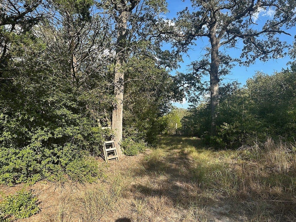 0000 Rook Road
