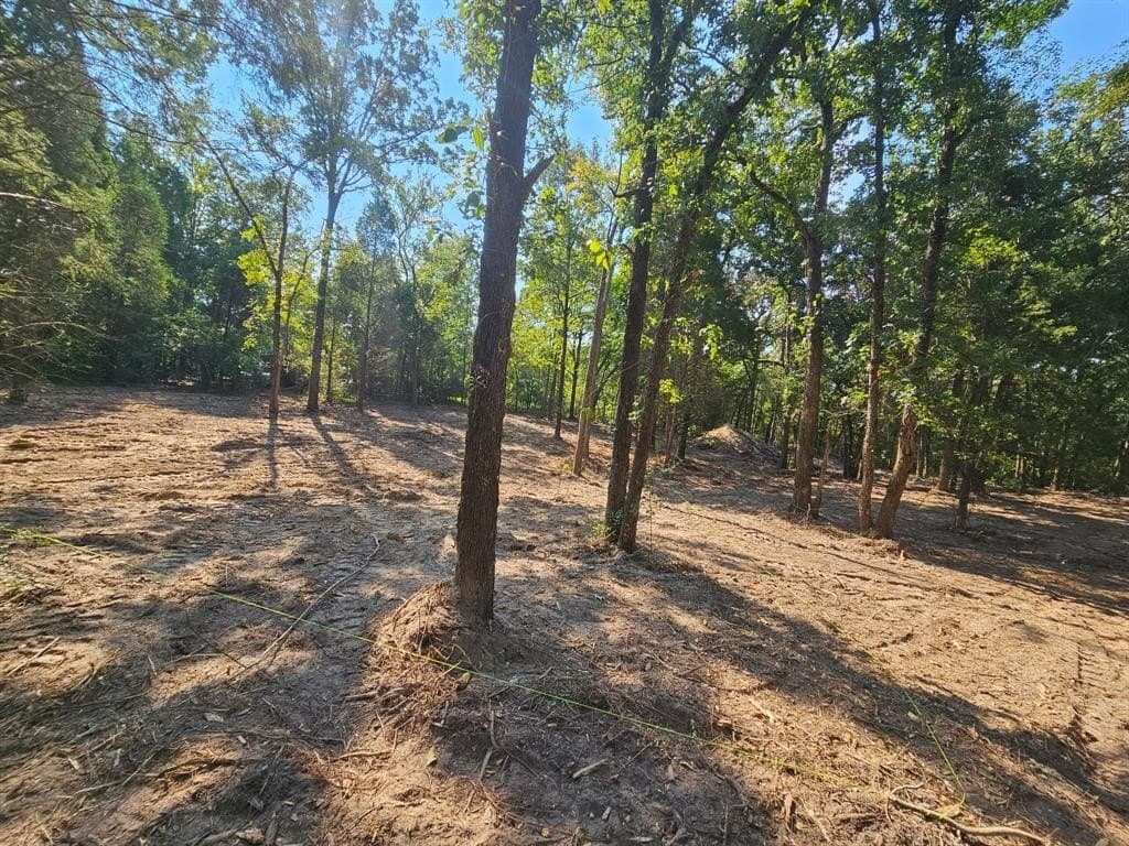 3.82 acres in Henderson County - photo 4