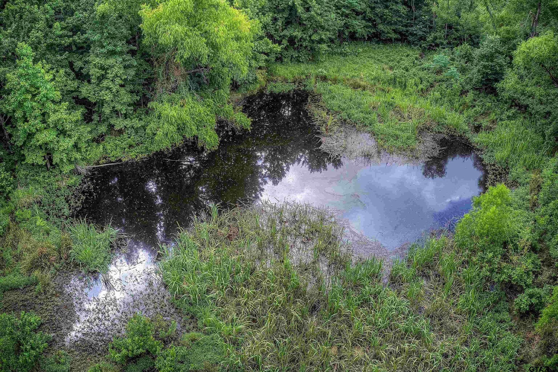 25.52 acres in Hopkins County - photo 26