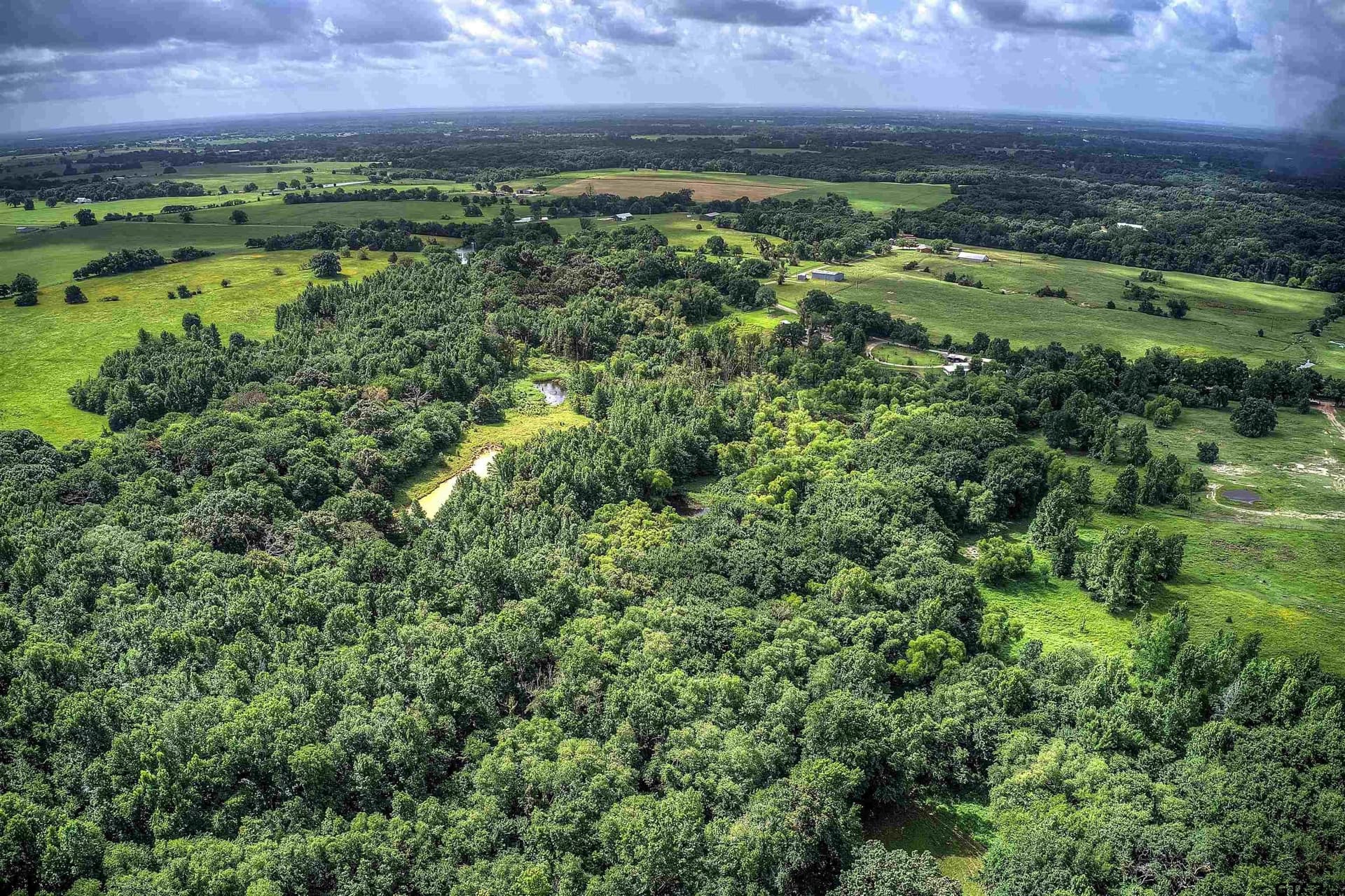 25.52 acres in Hopkins County - photo 9