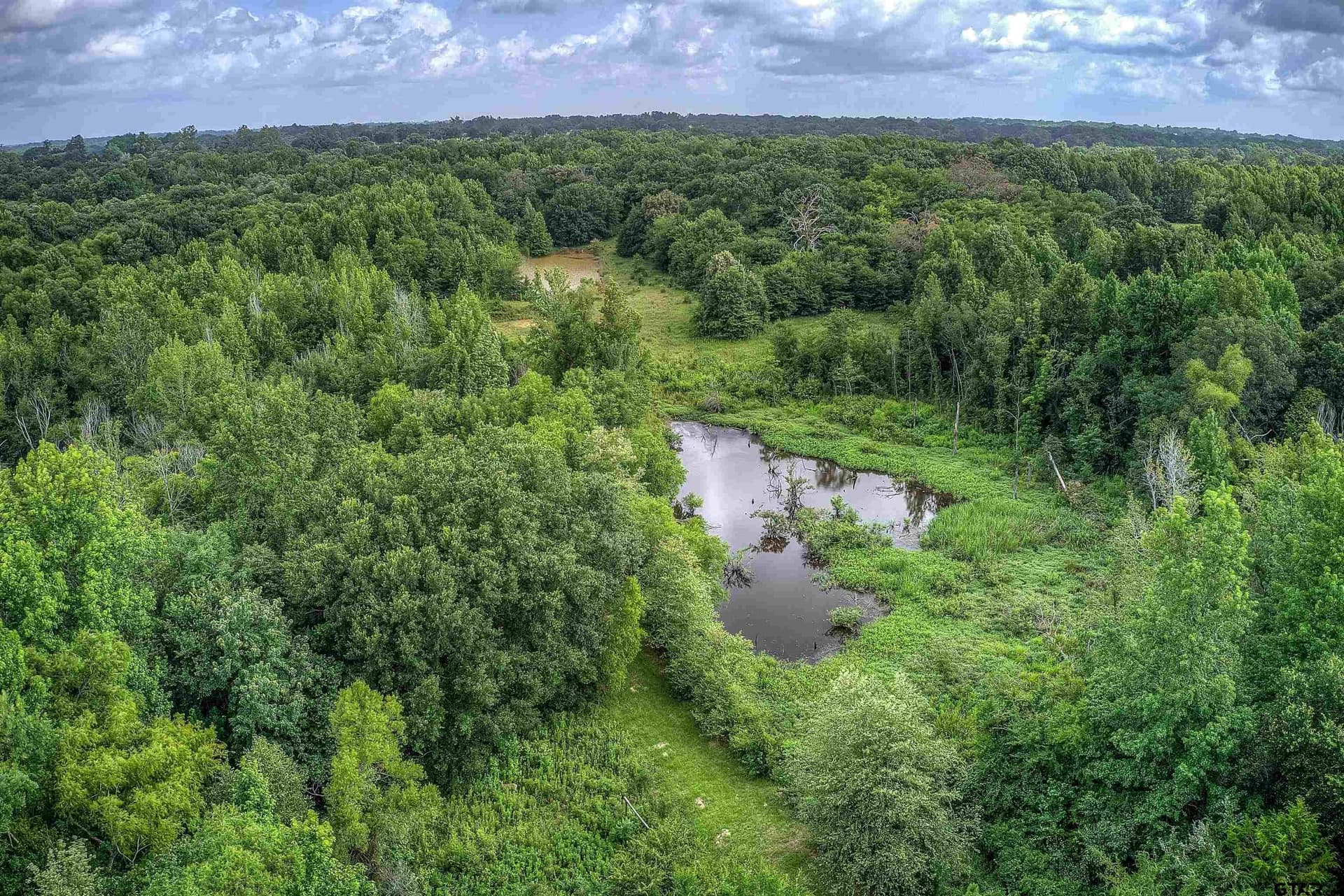 25.52 acres in Hopkins County - photo 22