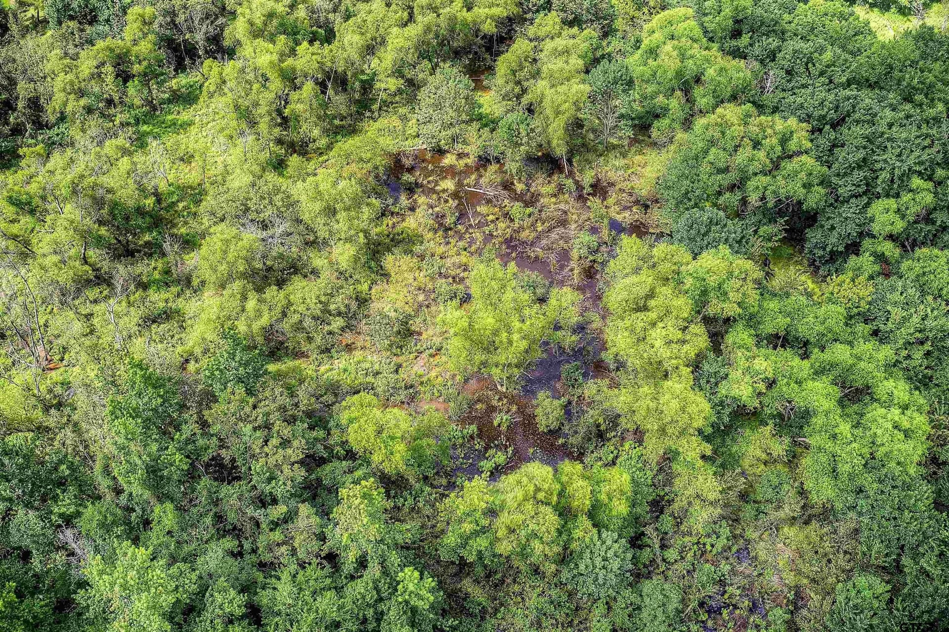 25.52 acres in Hopkins County - photo 27