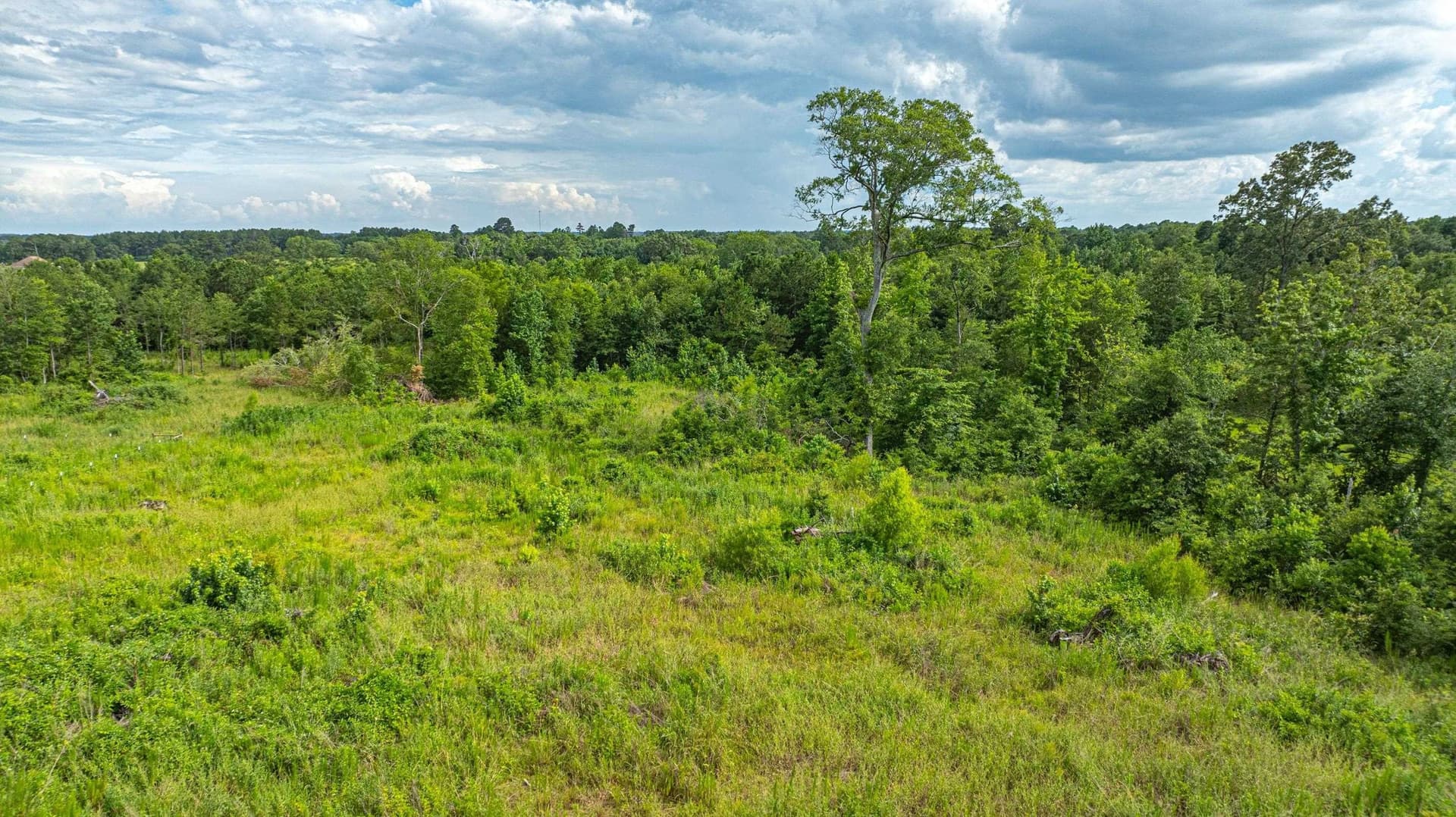 20.3 acres in Texas County - photo 4