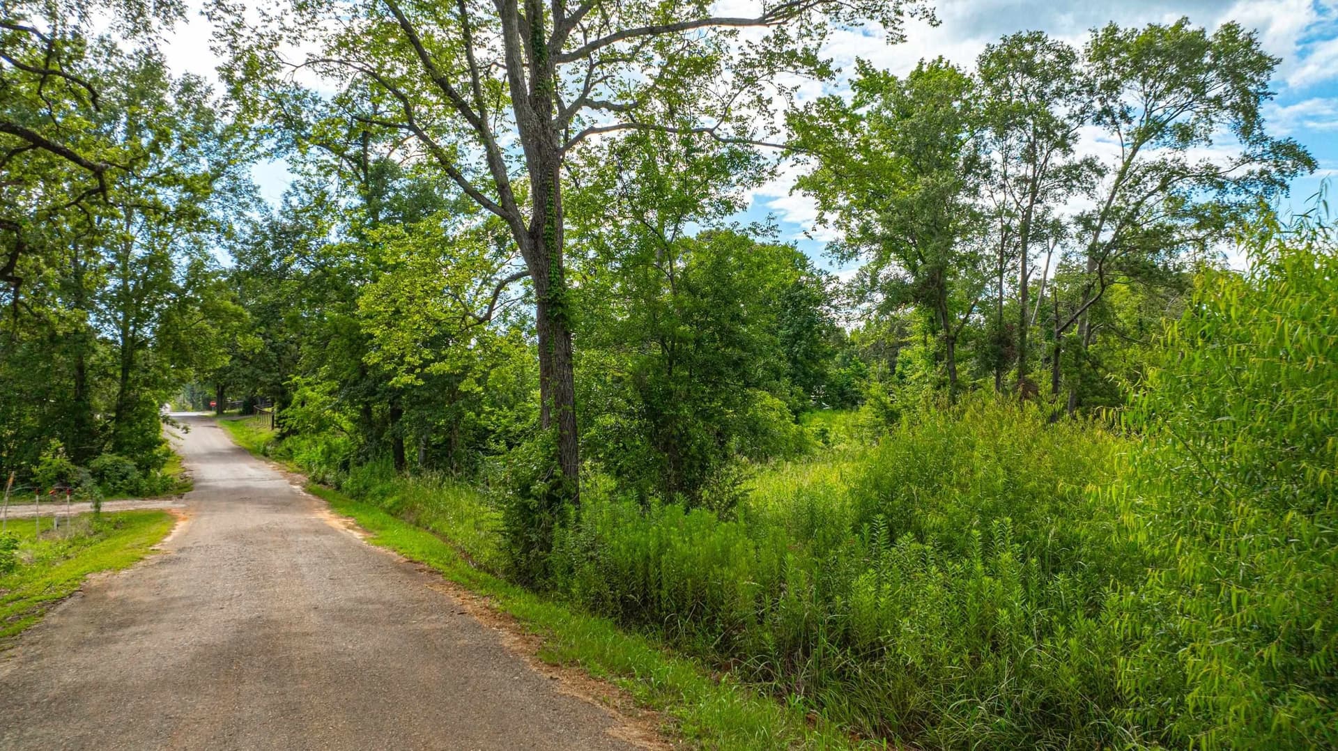 20.3 acres in Texas County - photo 2