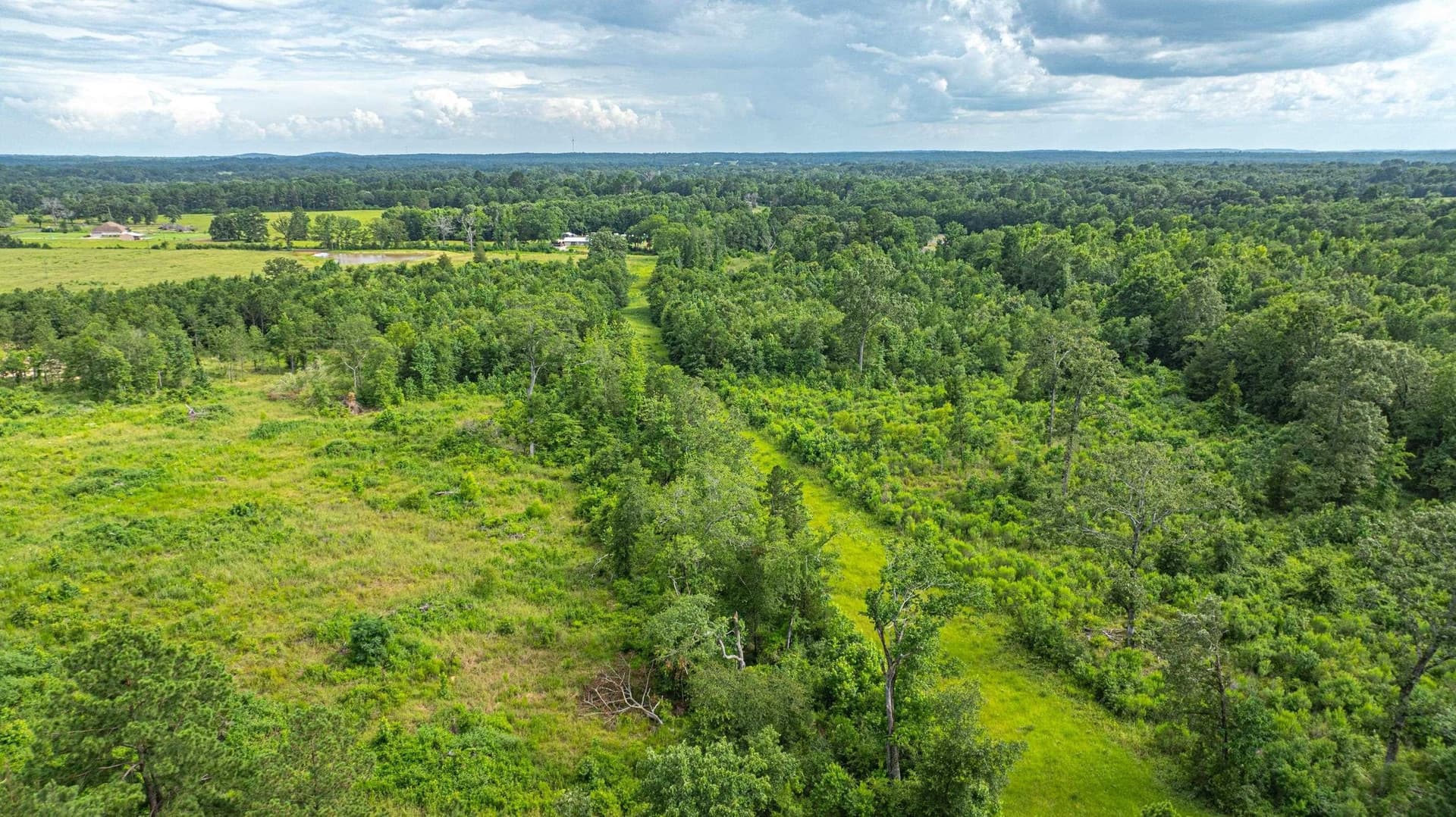 20.3 acres in Texas County - photo 5