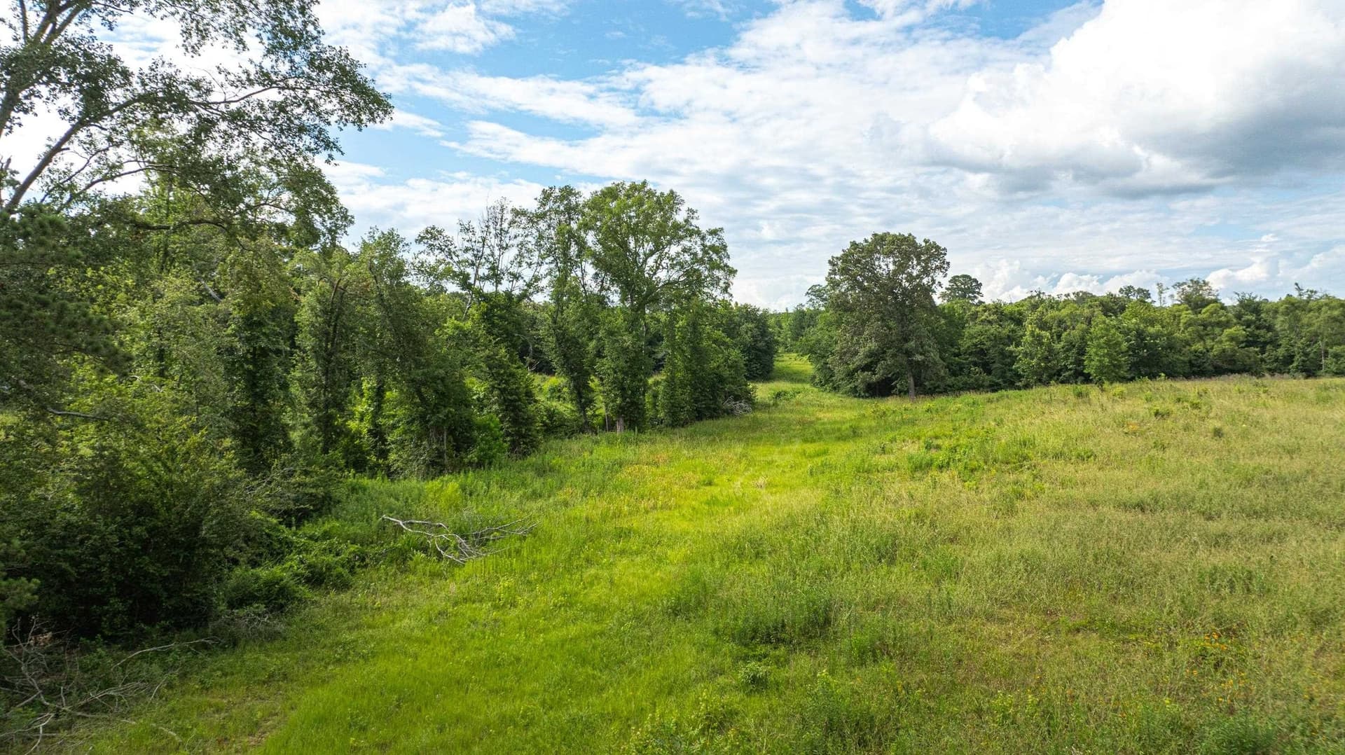 20.3 acres in Texas County - photo 3