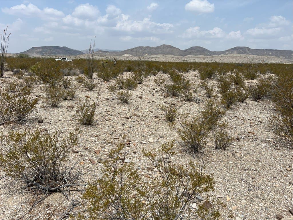10 acres in Brewster County - photo 3
