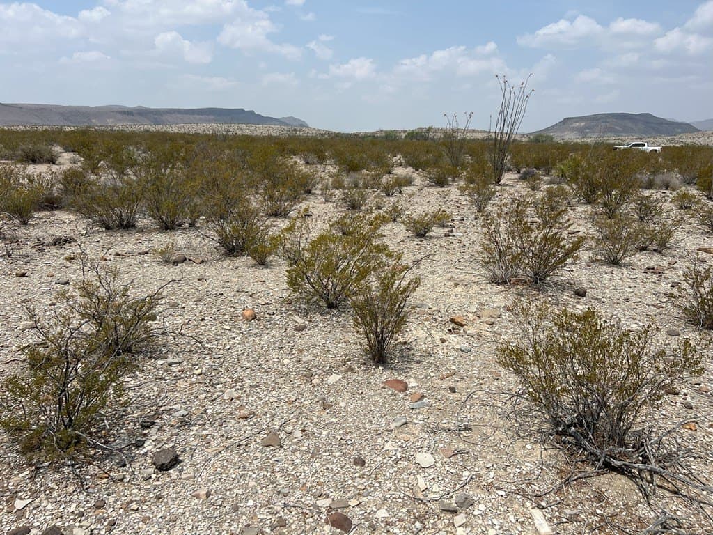 10 acres in Brewster County - photo 4