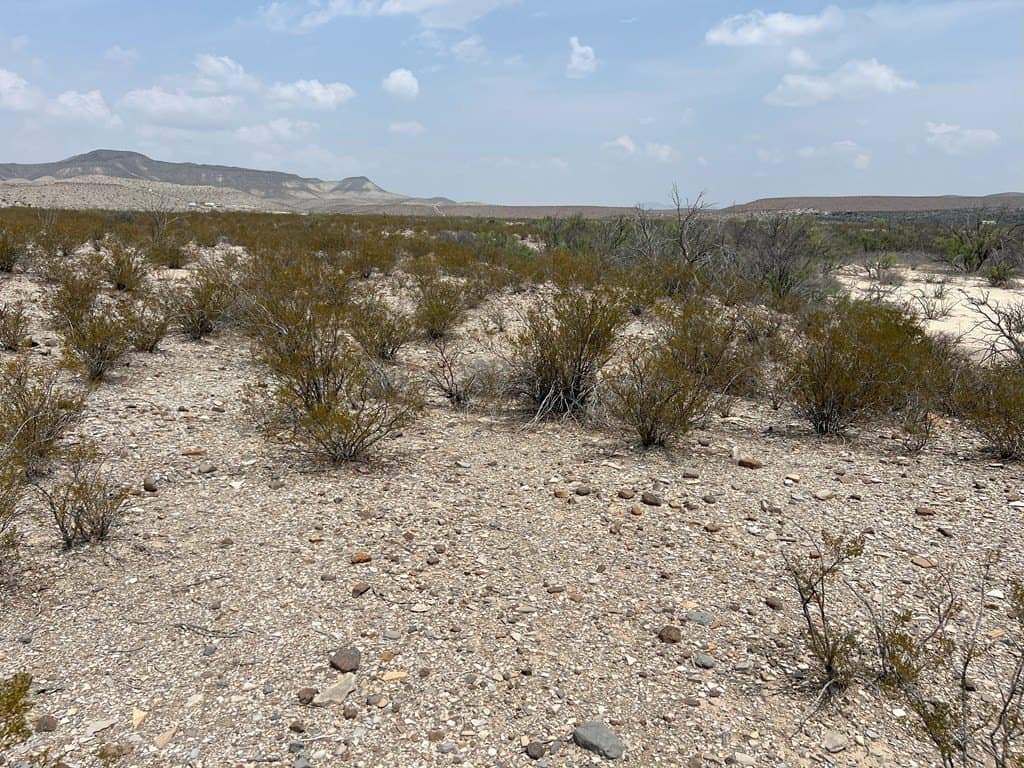 10 acres in Brewster County - photo 2