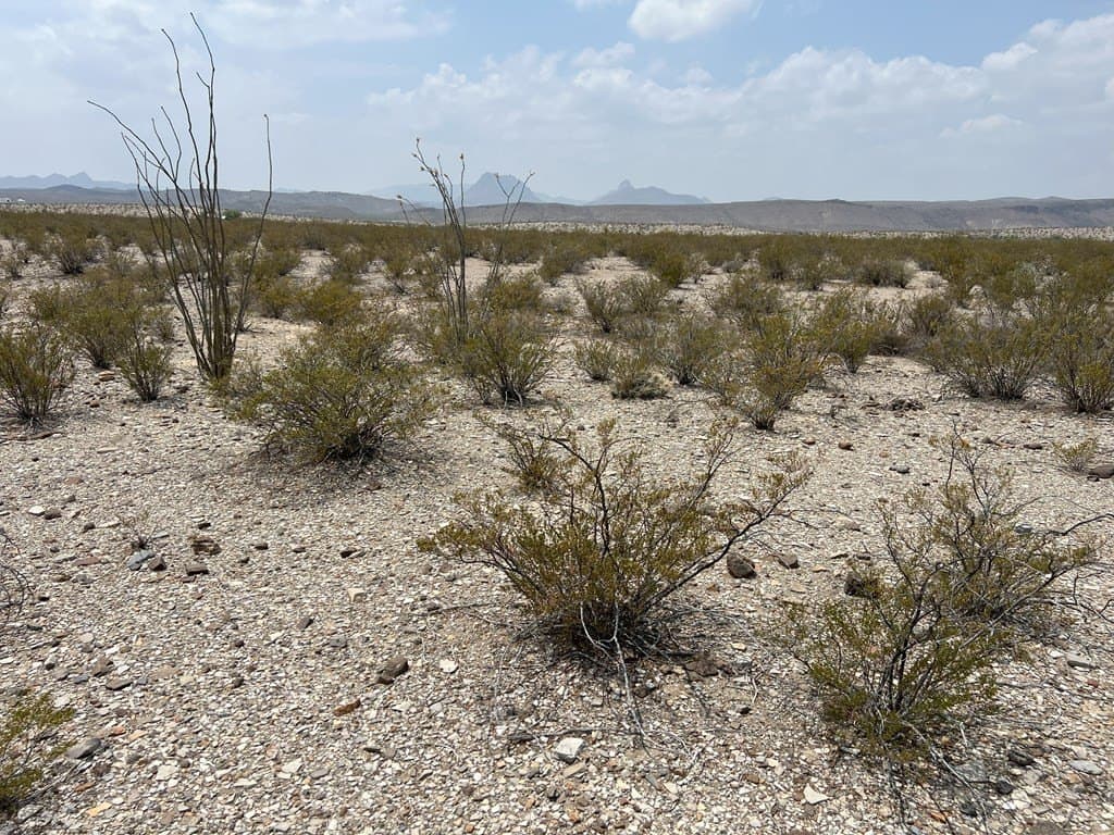 10 acres in Brewster County - photo 5
