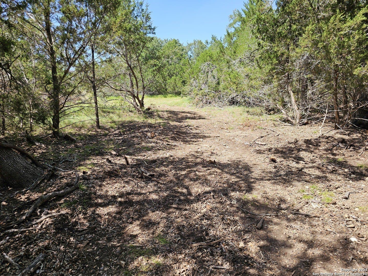 4.28 acres in Blanco County - photo 4
