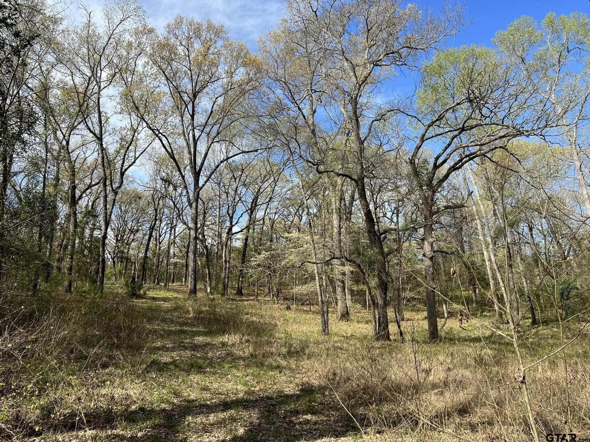74.45 acres in Smith County - photo 8