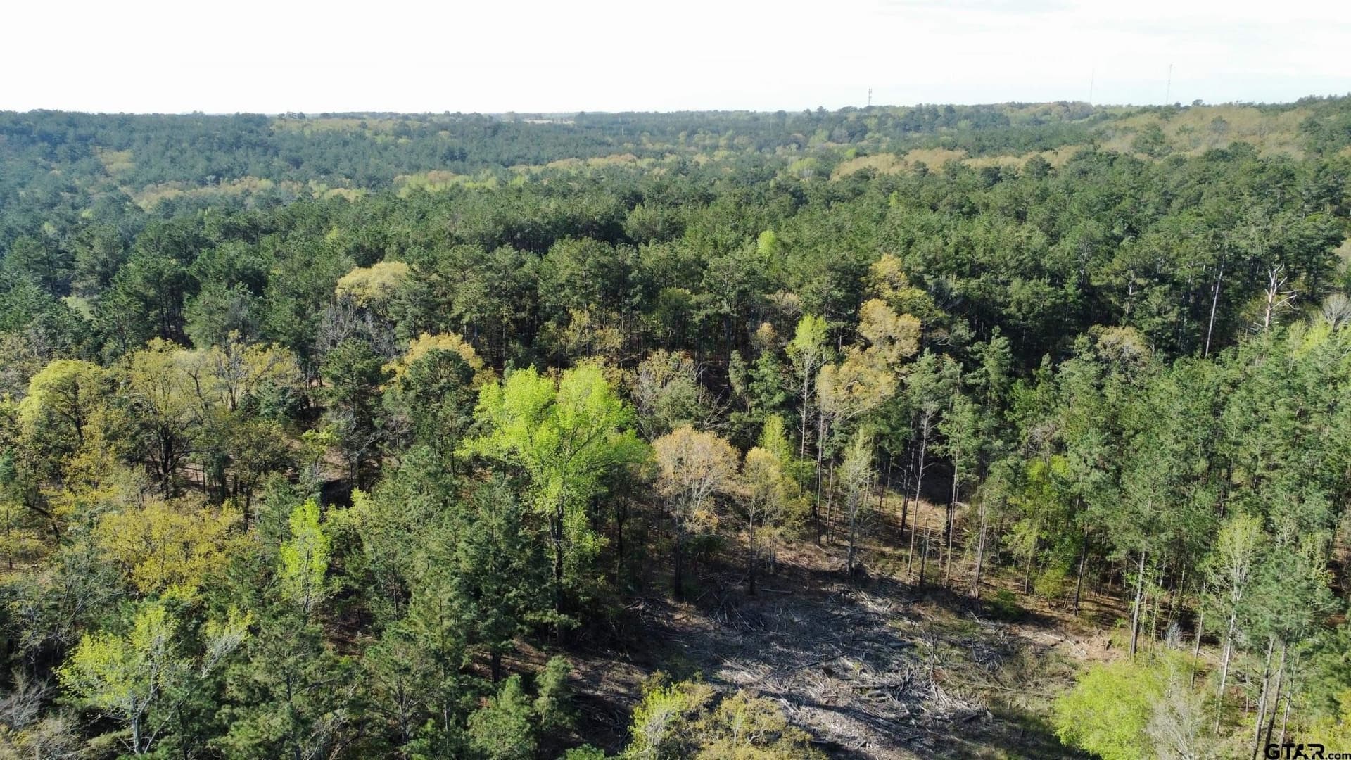 74.45 acres in Smith County - photo 18