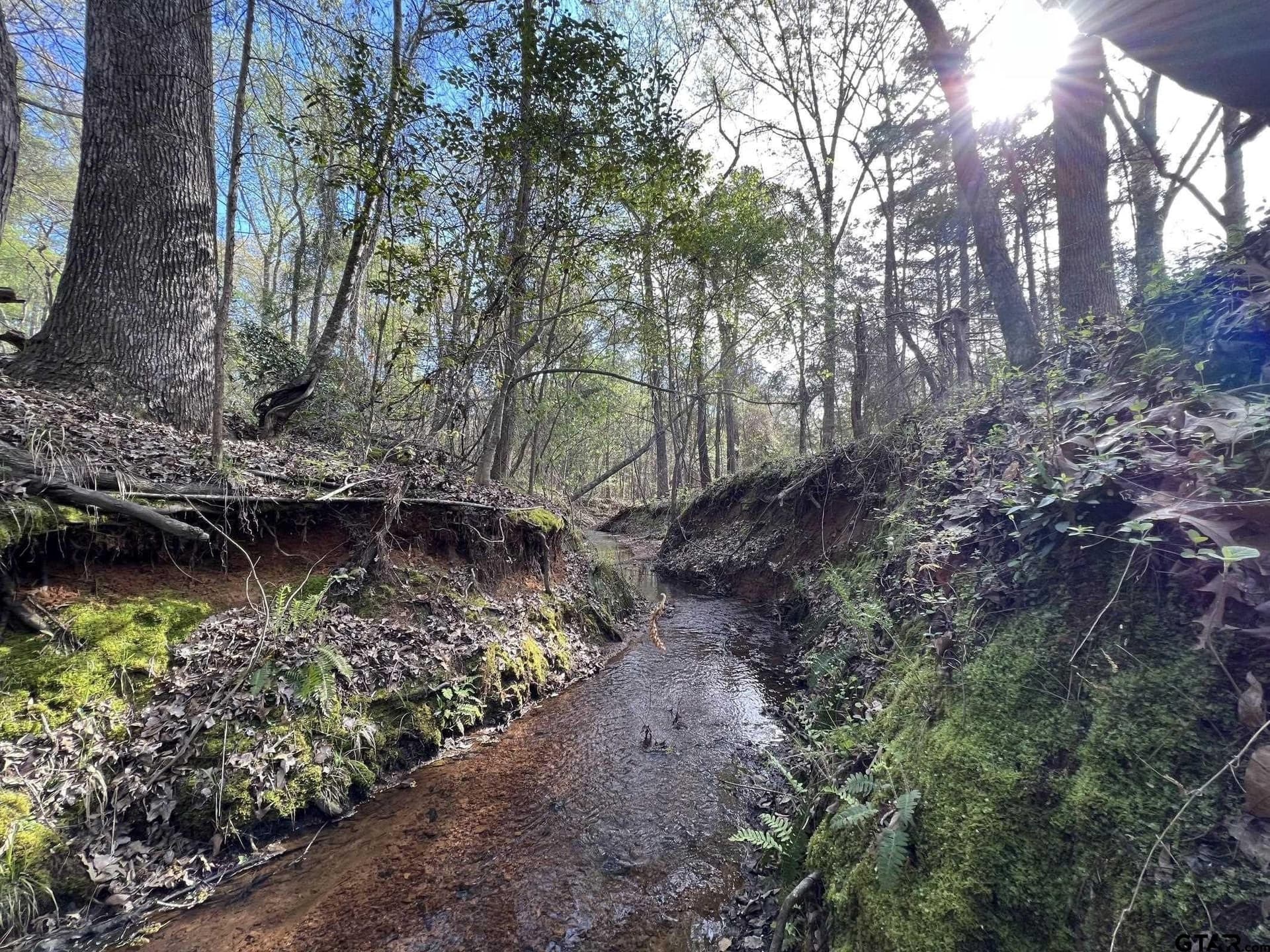 74.45 acres in Smith County - photo 4