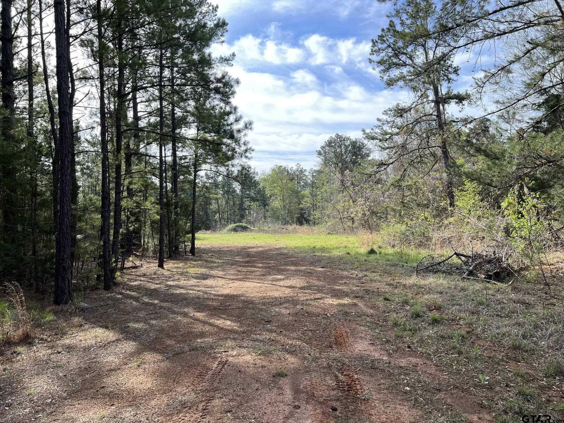 74.45 acres in Smith County - photo 14