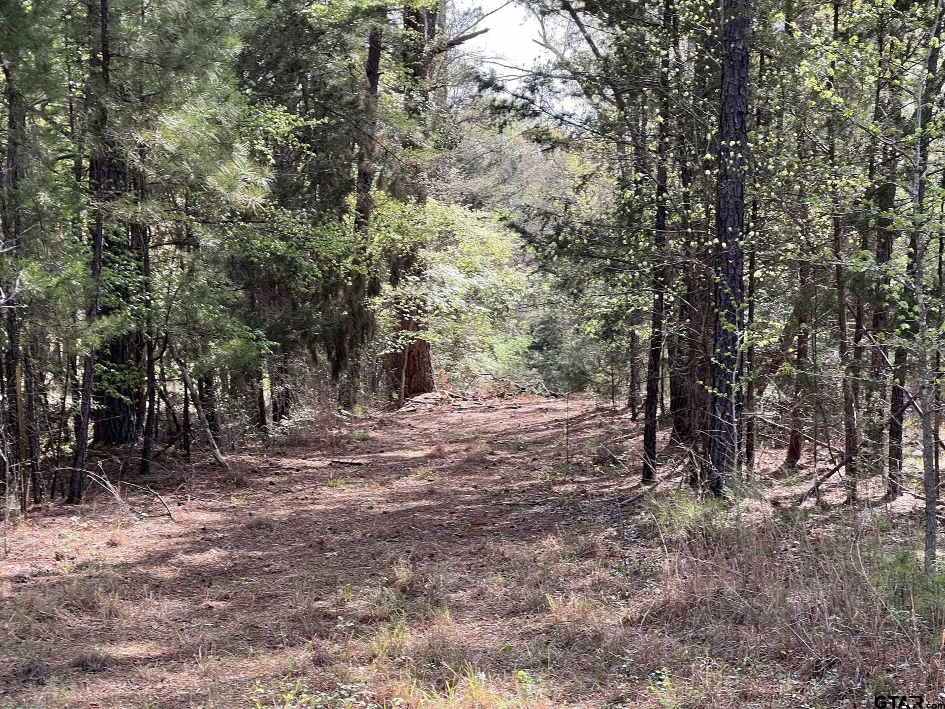 74.45 acres in Smith County - photo 15